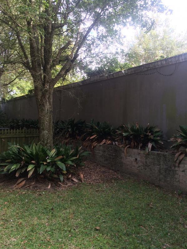 Foto del edificio - 200 Rochester Pl