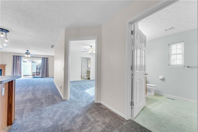 Building Photo - 6435 Forest Park Dr