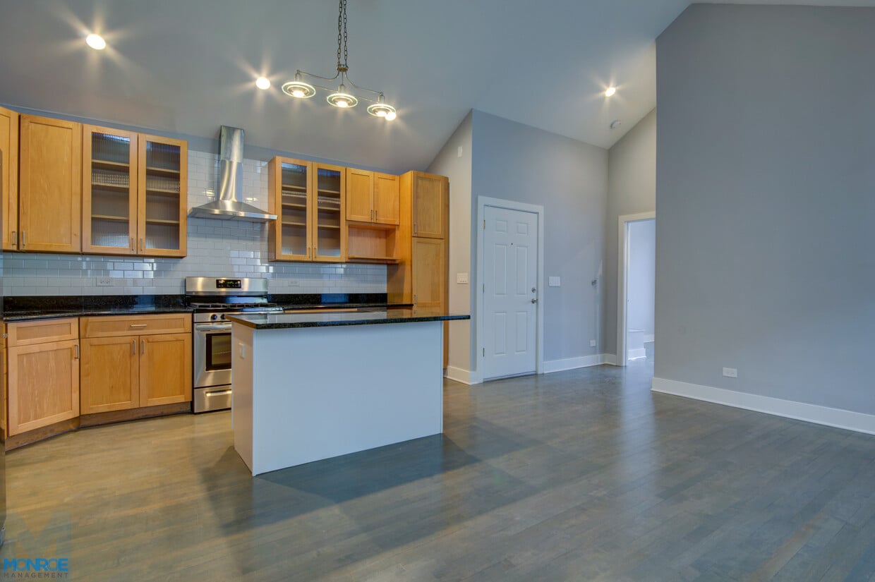 1706 South Carpenter Street Kitchen Apartment 2 Photo - 1706 S. Carpenter St.
