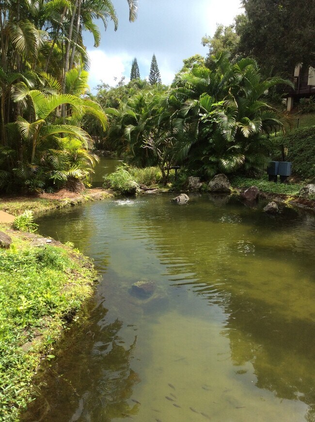 Building Photo - Puu Alii 2412