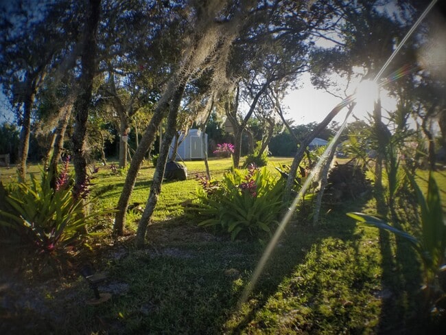 Side yard for relaxing - 8682 SE Kingsley St