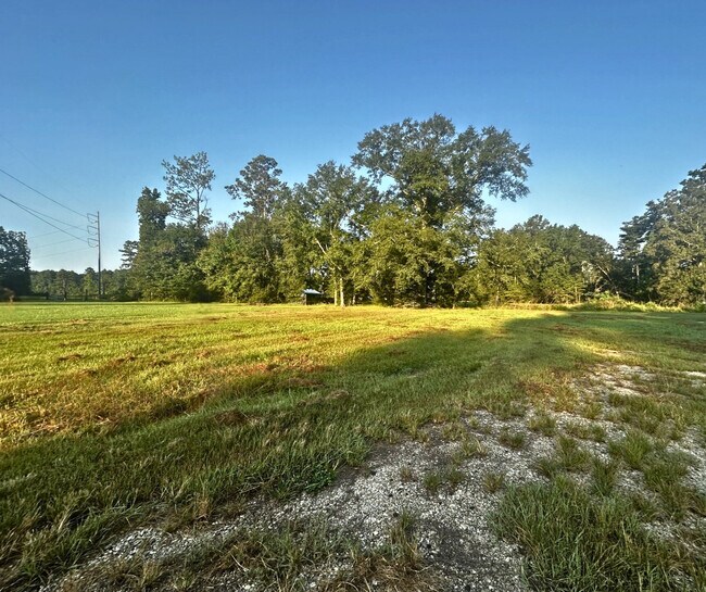 Building Photo - 11161 Soape Rd
