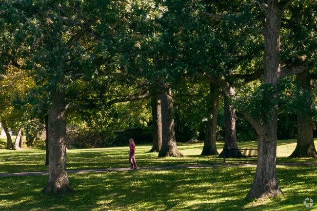 Hampshire locals are well shaded on their long walks around the parks.