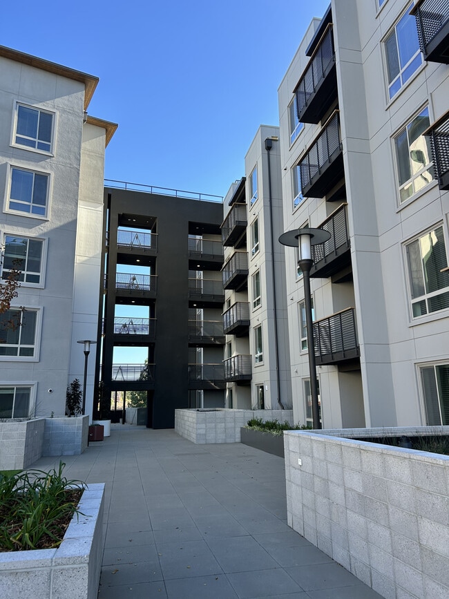 Foto del edificio - Blue Oak Square Apartments