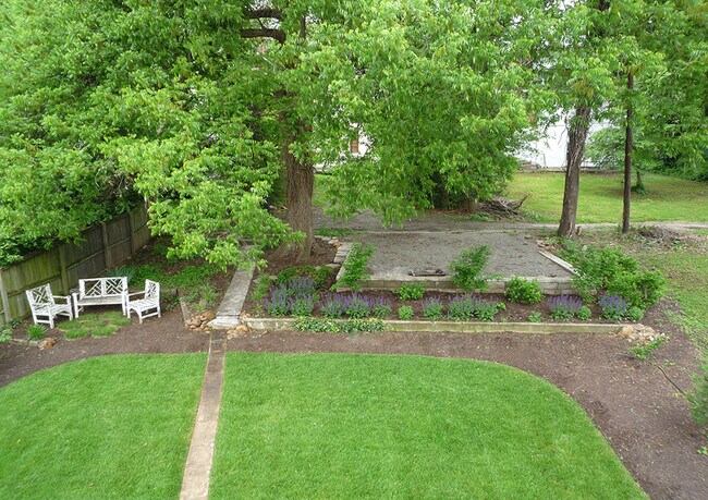 Back yard - 523 Arbutus Ave SE
