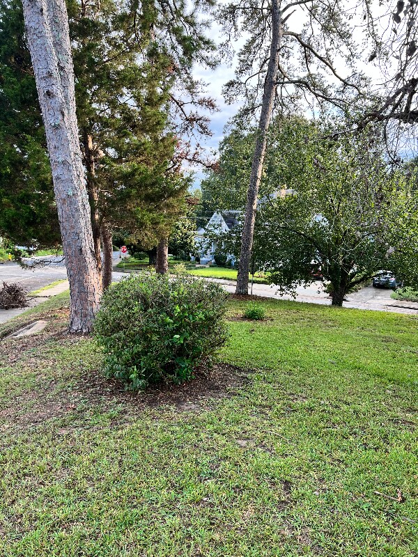 Foto del edificio - 830 North Ave