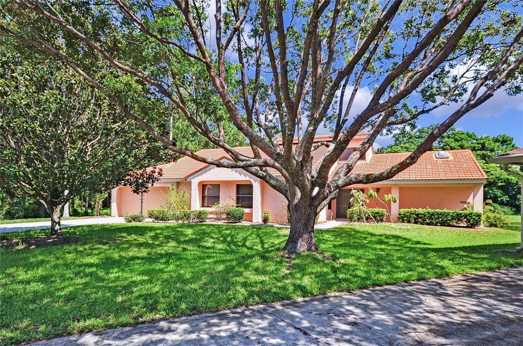 Primary Photo - 5915 Crystal View Dr