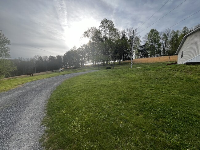 Foto del edificio - 282 Ferguson Ridge Rd
