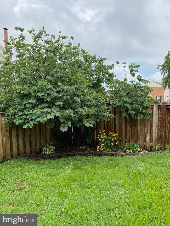 Foto del edificio - 8626 Black Rock Harbour