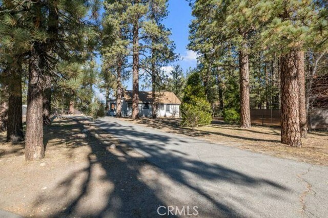 Foto del edificio - 697 Chipmunk Ln