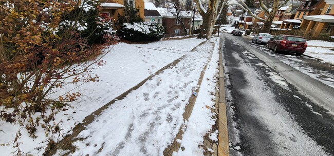 Photo - Alice St Triplex Apartment