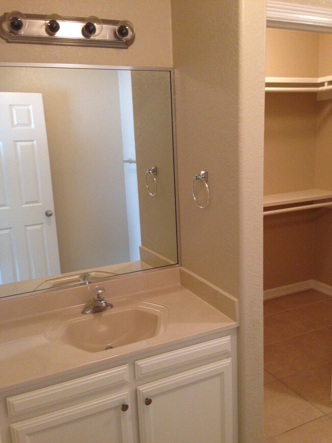 Master vanity and walk-in closet - 2706 Bobcat Ln