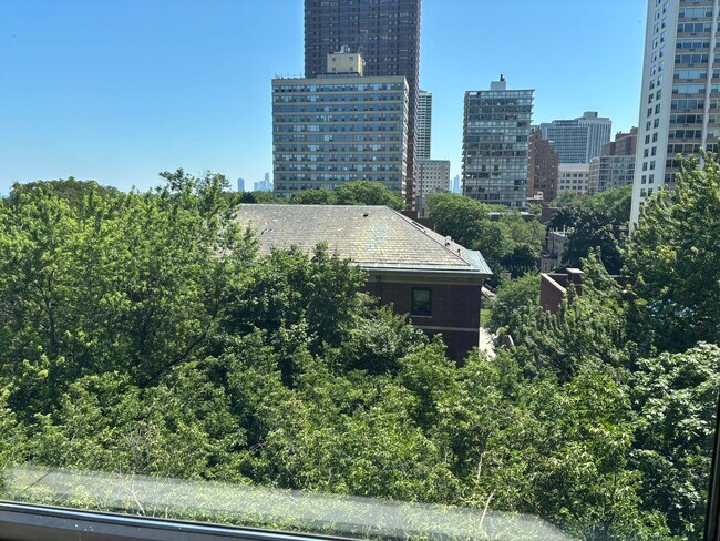 Foto del edificio - 3100 N Lake Shore Dr