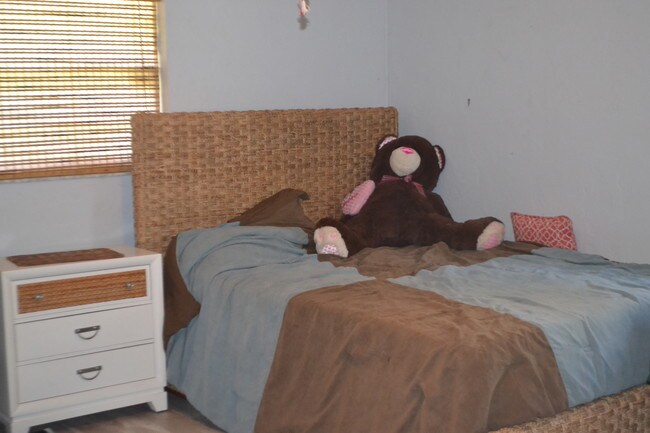 Foto del edificio - DeLand, 3 bedroom, 2 bath, pool home.