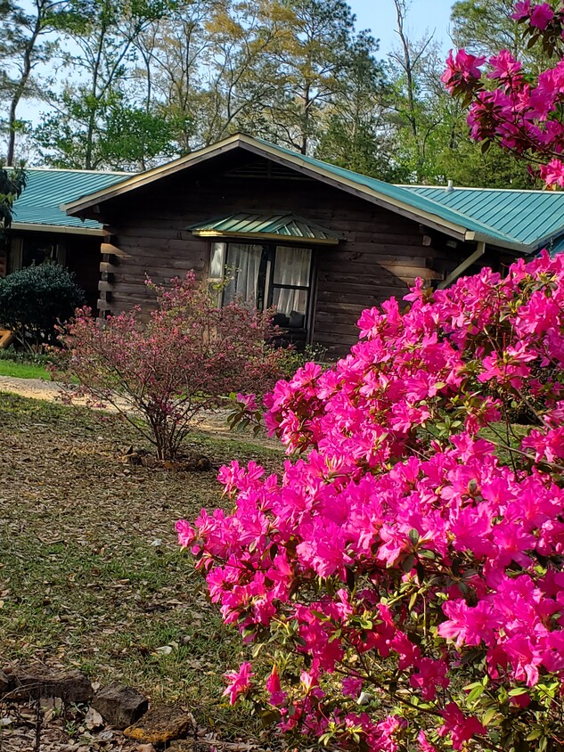 Primary Photo - 20575 Pine Forest Ln