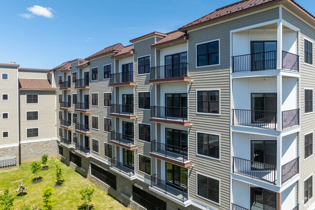 Building Photo - The Willow at Long Branch