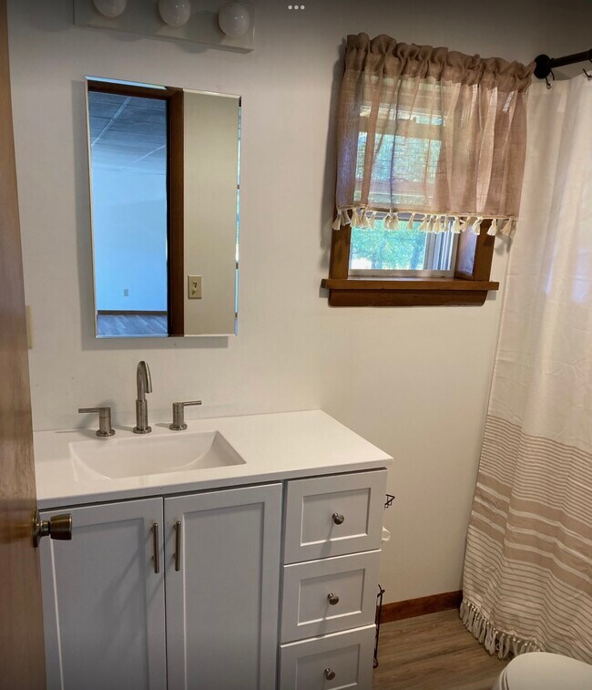 All New Bathroom - 2207 Mill Bridge Rd