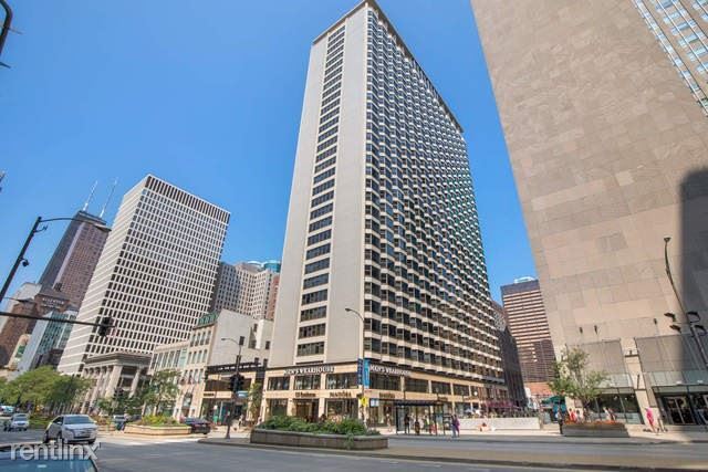 Building Photo - 537 N Michigan Ave