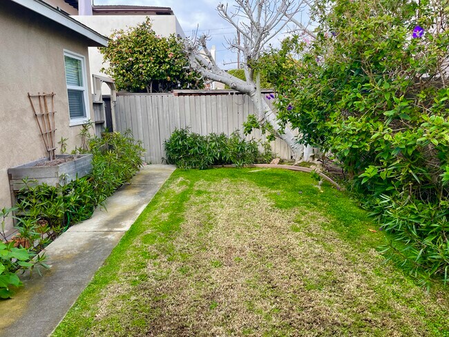 private backyard - 1304 Bonnie Brae St