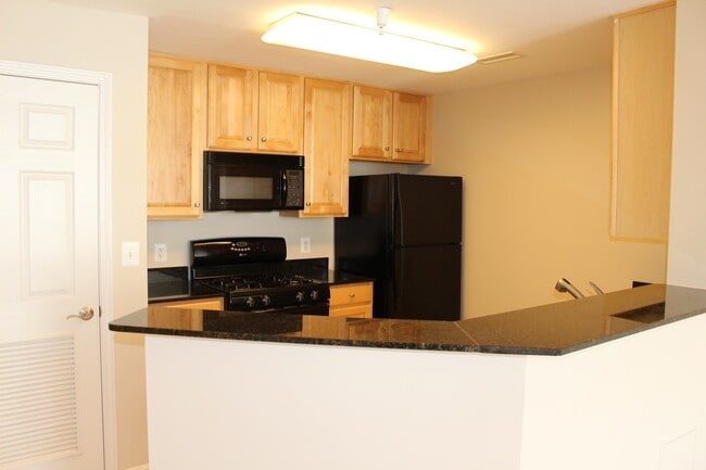 Building Photo - Luxury Condo 1 bed/1bath - 14th floor, Nice amenities, METRO!
