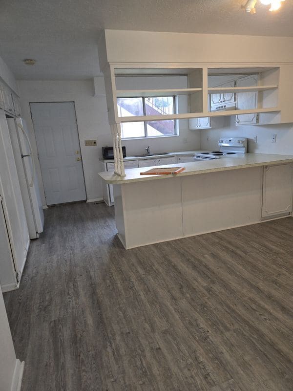 Building Photo - 842 Artistic Cir