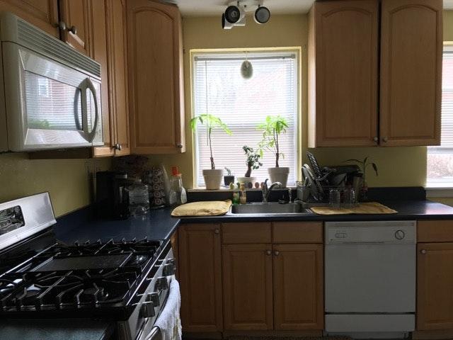 Primary Photo - 461 Arborway
