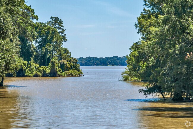 Rivers flow into Lake Houston, shaping the natural landscape.