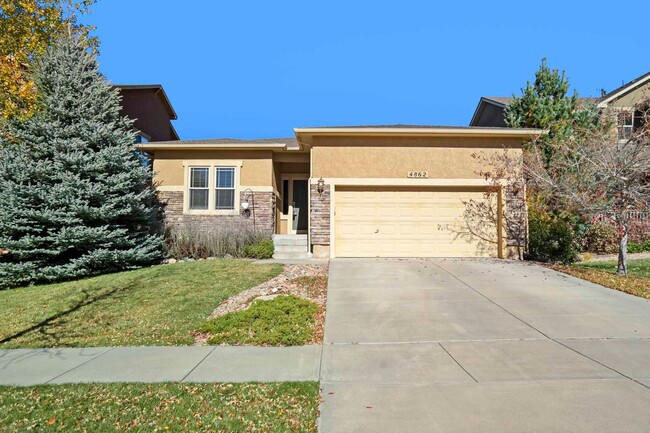 Ranch Style 4 Bedroom Home in Cordera...shorter lease term available - Ranch Style 4 Bedroom Home in Cordera...shorter lease term available