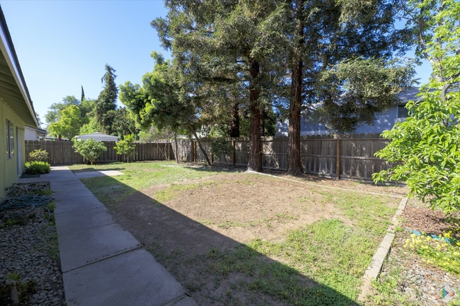 Building Photo - 3801 Lamborghini Ln