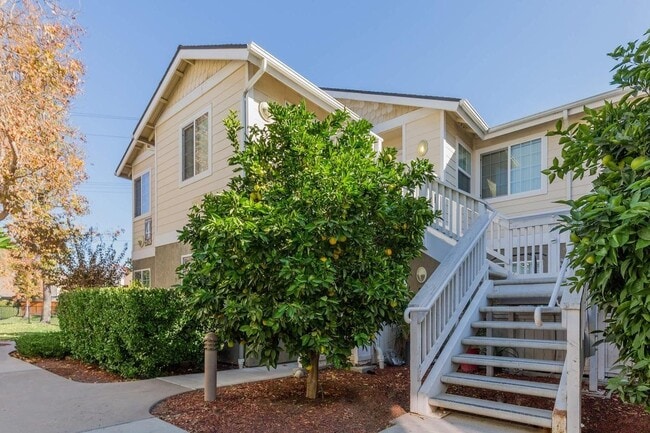 Interior Photo - Citrus Court Apartments