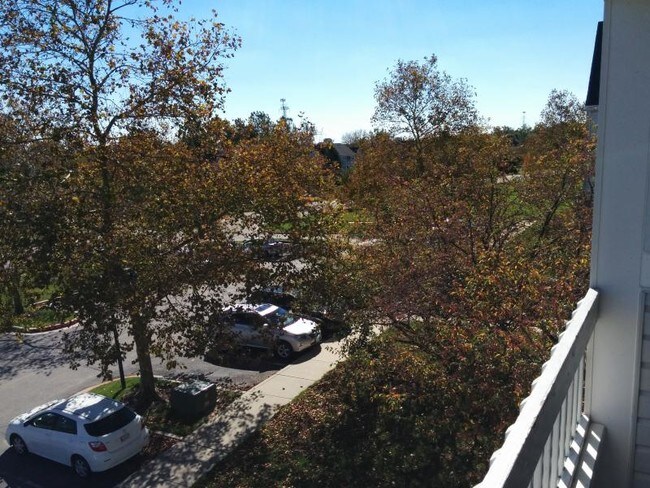 Foto del edificio - 8388 Montgomery Run Rd
