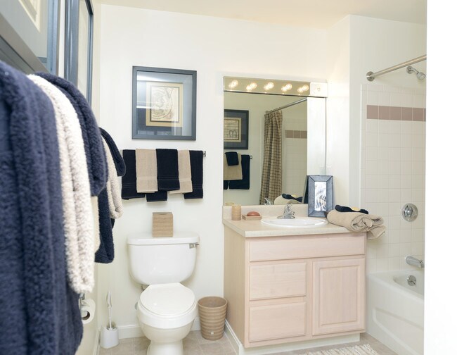 Chestnut Farm Apartments Rentals Raynham, MA