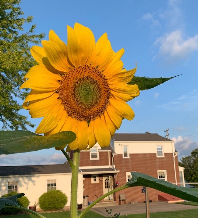 Foto del edificio - 1706 Wood St