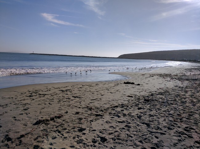 Beach - 2583 47th Ave