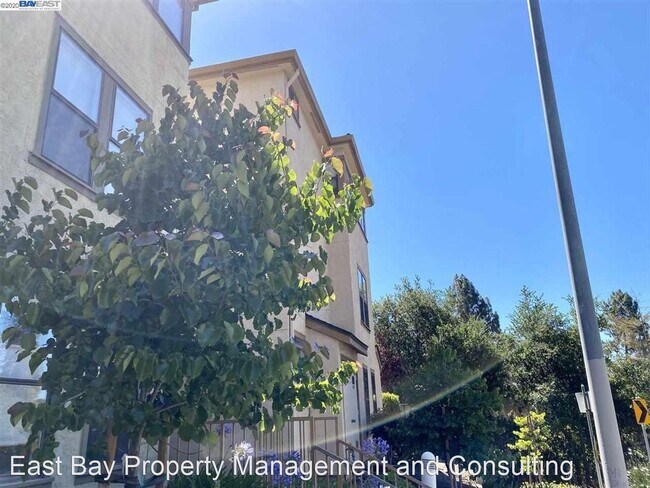 Building Photo - 2 br, 2 bath House - 945 Fletcher Ln. #314