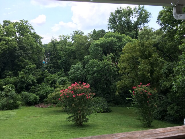 View from covered porch - 236 Nunley Dr