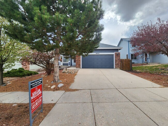 Foto del edificio - Amazing Two-Story Stetson Hills Home