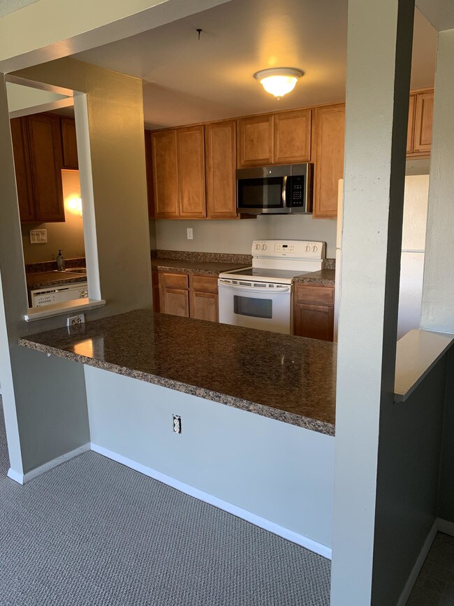 Zona de estar en la cocina y el bar - 1618 Jefferson Ridge Dr