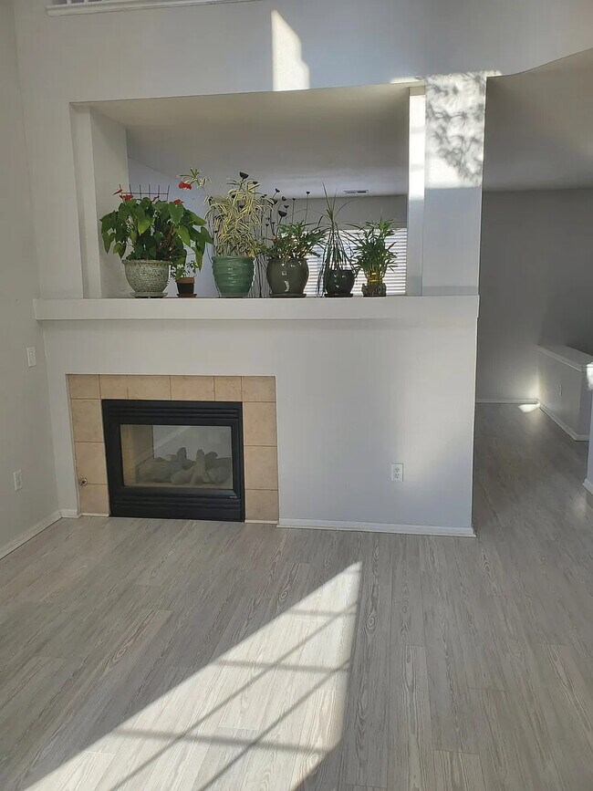 Entrance to Fireplace - 19443 E 59th Ave