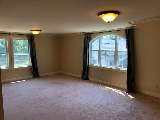 Living Room - 81 S Williams St