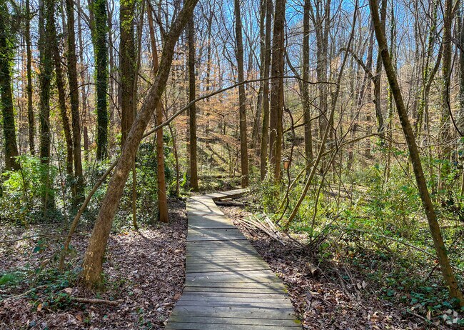 Wooden trails wind through the wooded landscapes of West Atlanta Watershed Alliance.