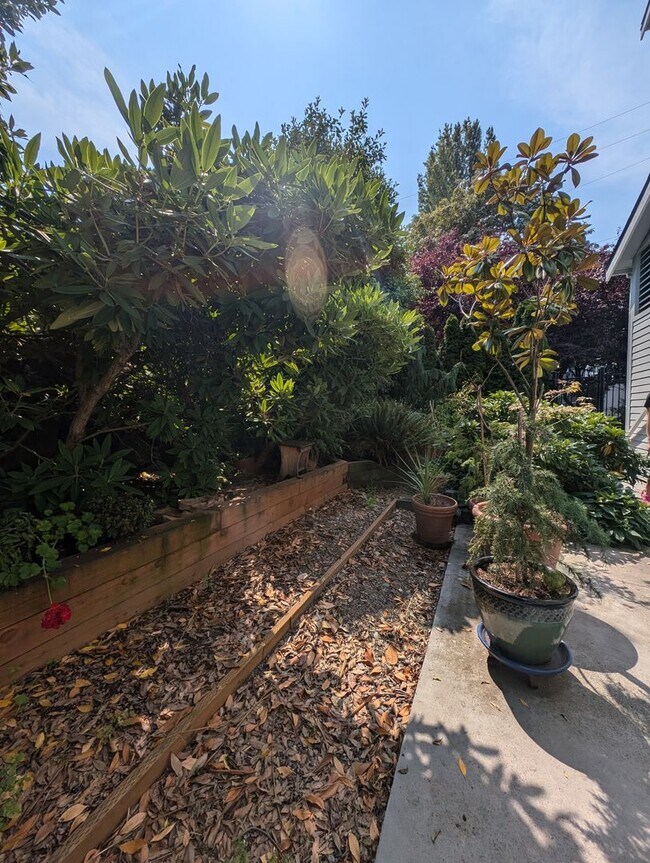 Foto del edificio - Cap Hill Condo for Rent - 2 Bed, Secure Pa...