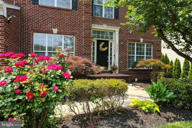 Building Photo - Spacious 5BR House in Haymarket, VA