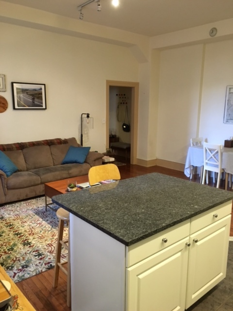Living Room - 250 S 13th St