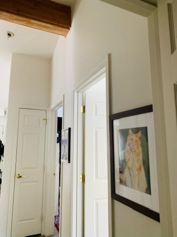 Hallway - 155 W Hansen Ave