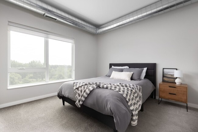 Interior Photo - Wild Oak