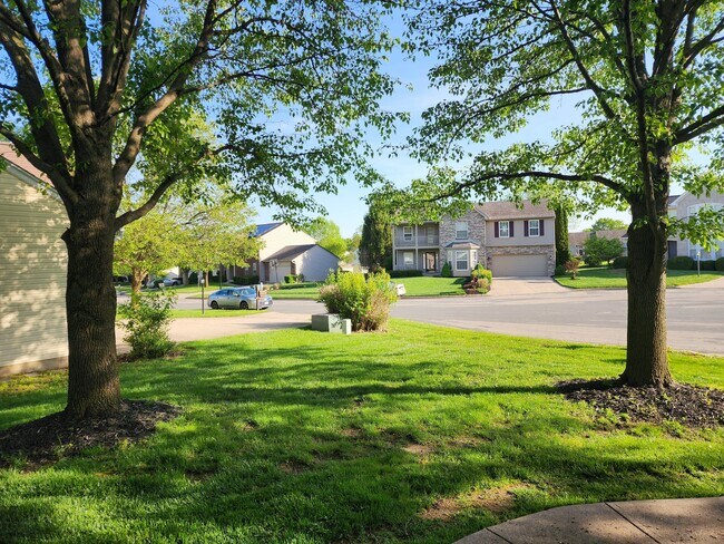 Foto del edificio - 1146 Deercreek Dr