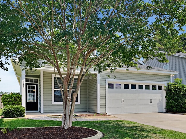 Building Photo - 310 Sanctuary Park Dr