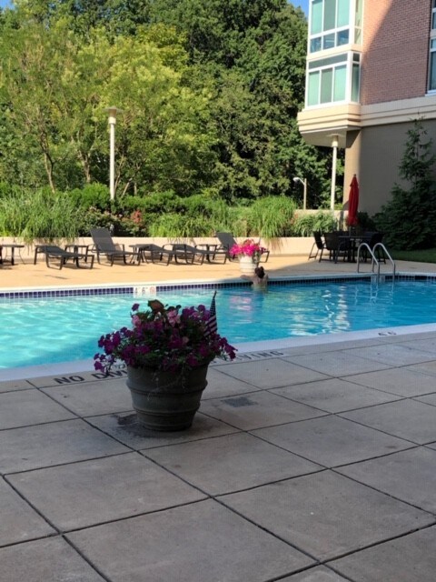 Foto del edificio - 3101 N Hampton Dr