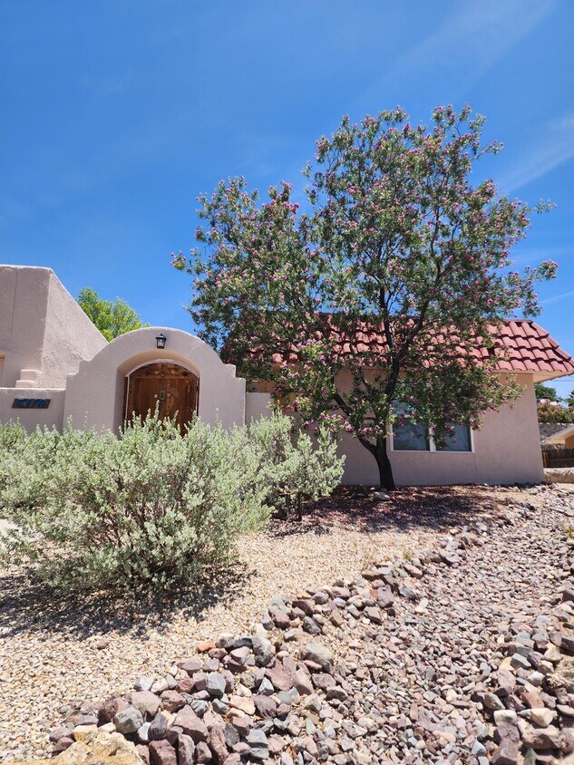 Foto principal - 3116 Risner St